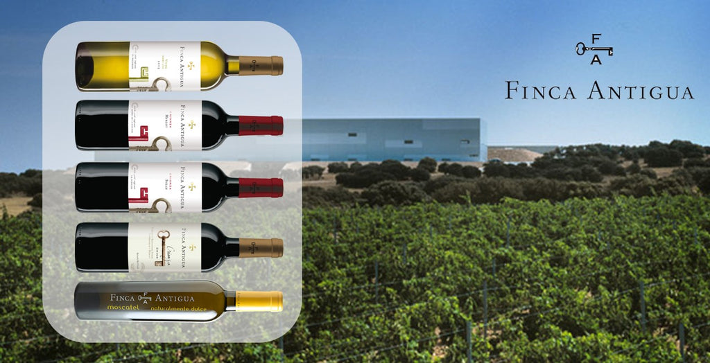 Martes 23: Cata de vinos de Bodegas Finca Antigua de La Mancha