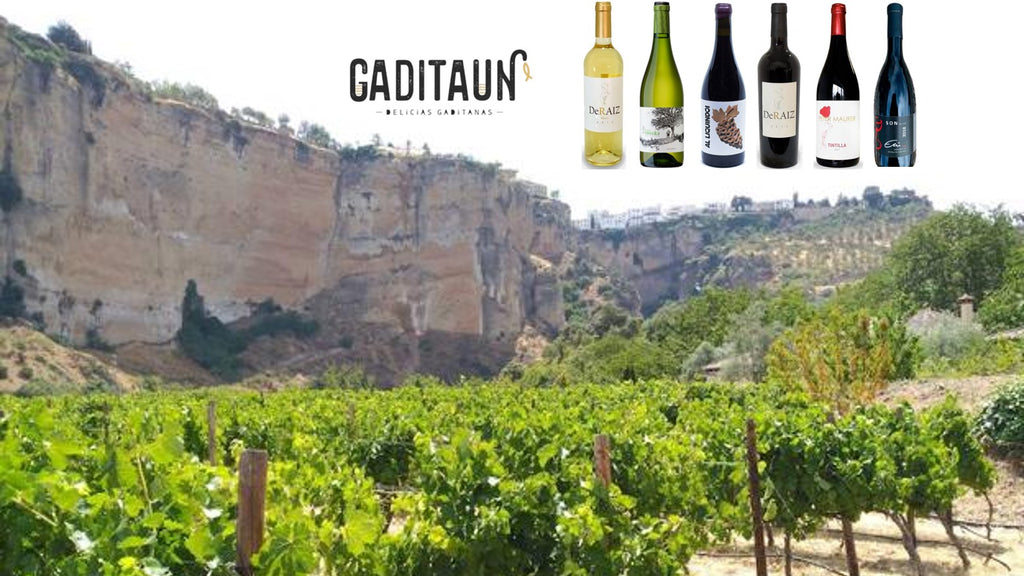 Miércoles 21 de Abril. Descubriendo el Sur. Cata de vinos de Cádiz y Ronda.